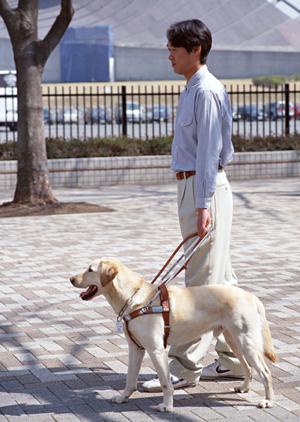 豊富な種類が揃う医療かつら通販